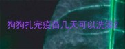 狗狗扎完疫苗几天可以洗澡