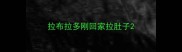 拉布拉多刚回家拉肚子