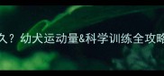 雪纳瑞5个月能跑多久幼犬运动量科学训练全攻略附健康跑动指南
