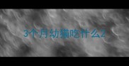 3个月幼猫吃什么