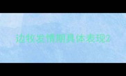 边牧发情期具体表现