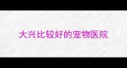 大兴比较好的宠物医院