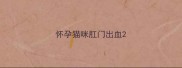 怀孕猫咪肛门出血