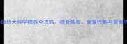 7个月泰迪幼犬科学喂养全攻略喂食频率食量控制与营养搭配指南