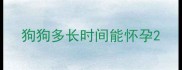 狗狗多长时间能怀孕