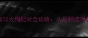 新手必看小狗与大狗配对全攻略从品种选择到后代养护指南
