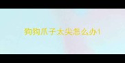 狗狗爪子太尖怎么办