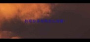 拉布拉多身高怎么测量