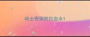 哈士奇突然拉血水