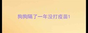 狗狗隔了一年没打疫苗