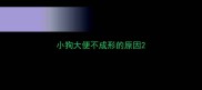 小狗大便不成形的原因