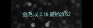 金毛成长体重标准6