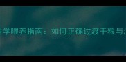 幼犬3月龄起科学喂养指南如何正确过渡干粮与湿粮的黄金期