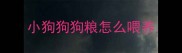 小狗狗狗粮怎么喂养