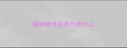 猫咪睡觉姿势代表什么