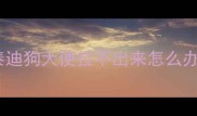 泰迪狗大便拉不出来怎么办