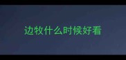 边牧什么时候好看