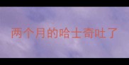 两个月的哈士奇吐了