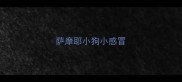 萨摩耶小狗小感冒