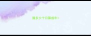猫多少个月算成年