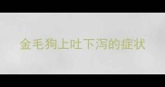 金毛狗上吐下泻的症状