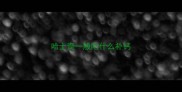 哈士奇一般吃什么补钙