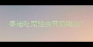 泰迪吃完驱虫药后呕吐