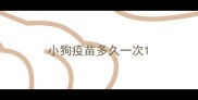小狗疫苗多久一次