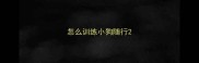 怎么训练小狗随行