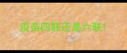 疫苗四联还是六联