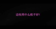 边牧用什么梳子好