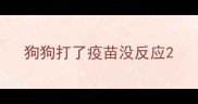 狗狗打了疫苗没反应