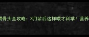 柯基犬幼犬喂骨头全攻略3月龄后这样喂才科学营养师亲测有效