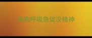 狗狗呼吸急促没精神