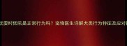 小狗玩耍时低吼是正常行为吗宠物医生详解犬类行为特征及应对措施