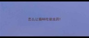 怎么让猫咪吃驱虫药