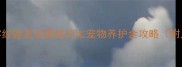 新手必看5种零经验友好高性价比宠物养护全攻略附月均成本清单