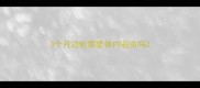 3个月边牧需要体内驱虫吗