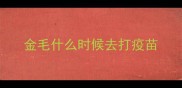 金毛什么时候去打疫苗