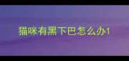 猫咪有黑下巴怎么办