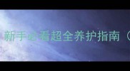 泰迪两个月大好养吗新手必看超全养护指南附喂养护理训练干货