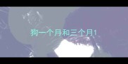 狗一个月和三个月