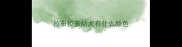 拉布拉多幼犬有什么颜色