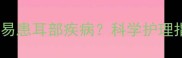 拉布拉多犬耳朵大易患耳部疾病科学护理指南与养护误区全