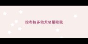 拉布拉多幼犬总是咬我