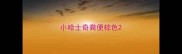 小哈士奇粪便棕色