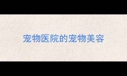 宠物医院的宠物美容