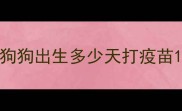狗狗出生多少天打疫苗