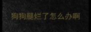 狗狗腿烂了怎么办啊