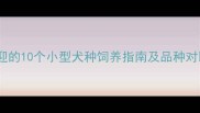 最受欢迎的10个小型犬种饲养指南及品种对比分析